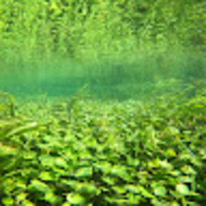 Meet your Posher, Evan